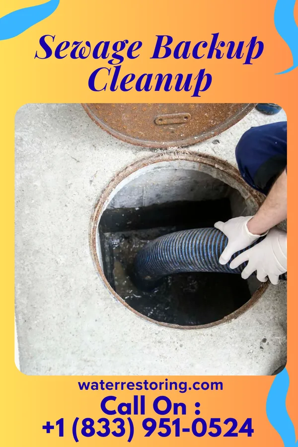 Sewage Backup Cleanup in Lake Gogebic, MI